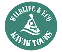 Wildlife & Eco Kayak Tours